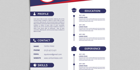 CV Templates free download in the vector format