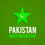 14th August independence day in Pakistan free in the vector download